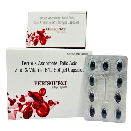 Ferisoft-XT